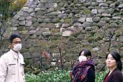 岡崎城跡の石垣